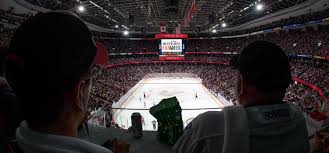 Molson Canadian Fan Deck Ottawa Senators