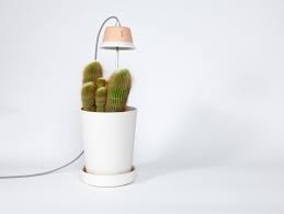 This image has not been loaded. 10 Easy Pieces Grow Lights For Indoor Plants Gardenista