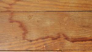 Get Stains Out Of Hardwood Floors
