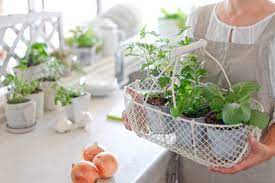 Creative Vegetable Garden Inspirations