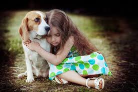 children and pet loss how to help kids