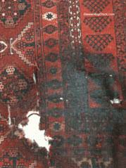 mold and dry rot in rugs rug