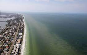 La marée rouge se répand sur les côtes en Floride, entraînant des problèmes  de santé | Le Devoir