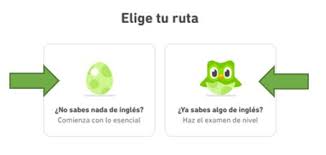 7 alternativas a duolingo gratis para pc. Descargar Duolingo Para Pc Gratis Como Hacerlo En 2021