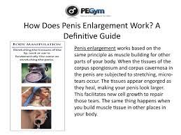 How Does Penis Enlargement Work? A Definitive Guide by PEGym - Sexual  Improvement for Men - Issuu
