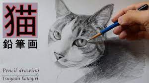 鉛筆画】猫をリアルに鉛筆デッサンするポイント「描き方、コツ」/pencil drawing - YouTube