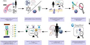 spike protein in the nervous system