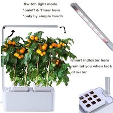 These slow growing plants require no soil and only light amounts of watering, preferring to receive a light mist. China Smart Tabletop Hydroponic Integrated Super Plant Grow Light China Plant Grow Light Hydroponic Lighting