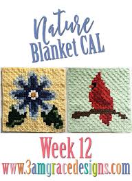 Nature Blanket C2c Cal Week 12 Free Crochet Pattern