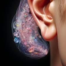 Comment enlever les cristaux dans les oreilles : techniques et conseils -  France Audition