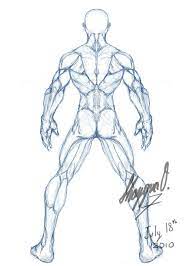 Posted in diagrams scalenes muscles. Male Anatomy Template Back By Shintenzu On Deviantart Drawing Male Anatomy Human Anatomy Art Anatomy Sketches