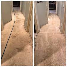 fresh step carpet cleaning 212