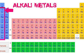 alkali metals elements
