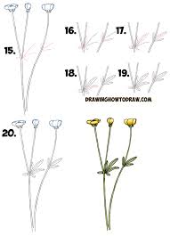 how to draw a ercup flower step by