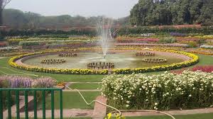 mughal garden delhi timings photos