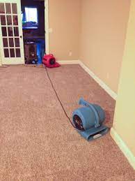 fans drying carpet candid carpet cleaning