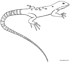 Print one coloring page at a time below or download them all at once. Printable Lizard Coloring Pages For Kids