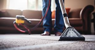 expert carpet cleaning in salisbury