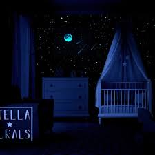 Star Ceiling Glow In The Dark Moon And