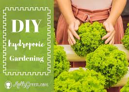 DIY Hydroponic Gardening Molly Green