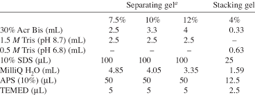 sds page gel preparation recipe