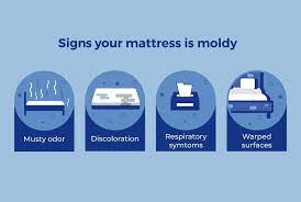 how to spot mold on mattress what to