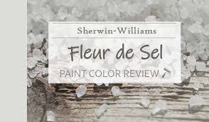 Sherwin Williams Fleur De Sel Review
