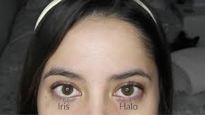We did not find results for: Siesta Halo Khaki Vs Iris Khaki Color Contact Comparison Beauty Hair Nail Skin Tutorials