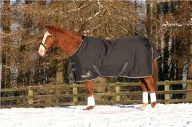 masta horse rugs turnout rugs and