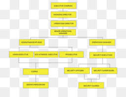 Organizational Chart Png Microsoft Organizational Chart