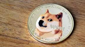 Image result for who owns dogecoin