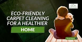 eco friendly carpet cleaning for a