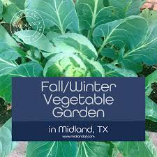 fall winter vegetable gardening in west