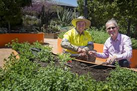 Greenest Thumbs The Canberra Times