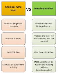 biosafety cabinets vs fume hoods