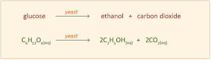 producing ethanol by fermentation easy