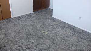 las cruces carpet cleaning