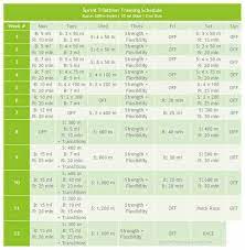 sprint triathlon training schedule