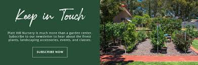 Edible Orchard For Your Chicago Garden