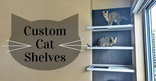 Custom Cat Shelves Kitty Loaf