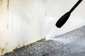 How To Kill Black Mold On Concrete Hunker