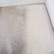 pristine carpet upholstery cleaning