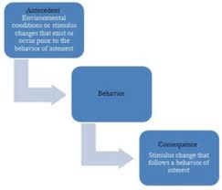 Three Term Contingency Aba Applied Behavior Analysis