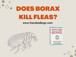 does borax kill fleas ultimate guide