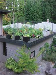 Green Roof Garden Rooftop Garden