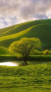 earth tree gr greenery hill