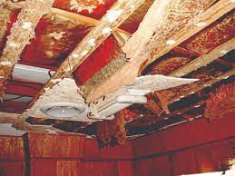 termite ceiling damage termites in