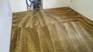 the one carpet upholstery cleaning