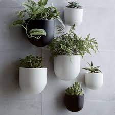 Ceramic Wall Planters Mad About The House