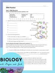 Answers, dna structure and replication answer key pogil and dna structure worksheet answer key. 30 Dna Replication Practice Worksheet Answers Worksheet Resource Plans